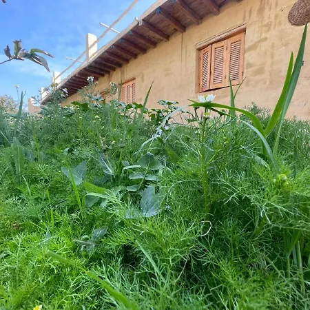 Tunis Camp Fayoum Exterior photo
