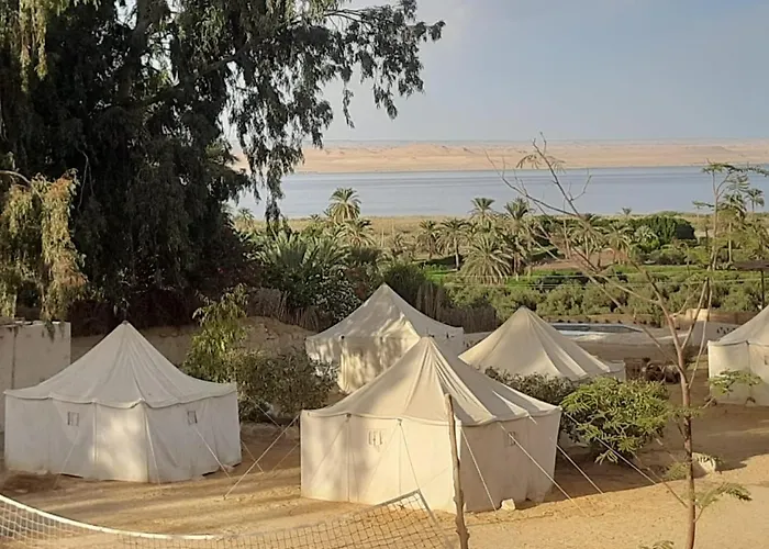 Tunis Camp Fayoum