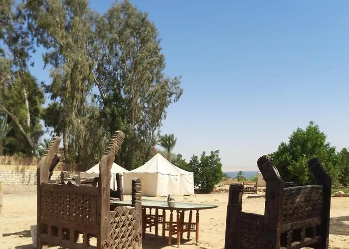 Tunis Camp Fayoum