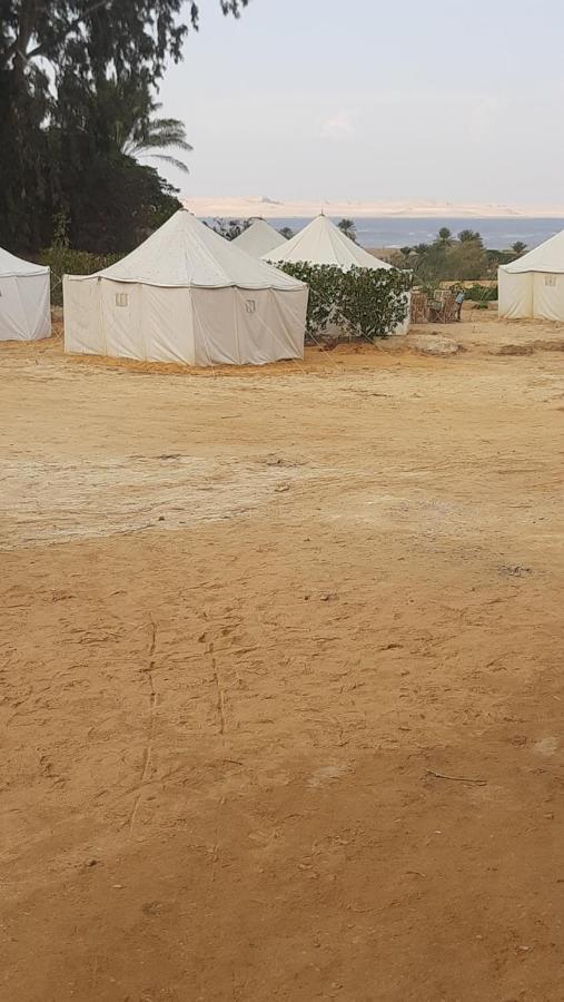Tunis Camp *