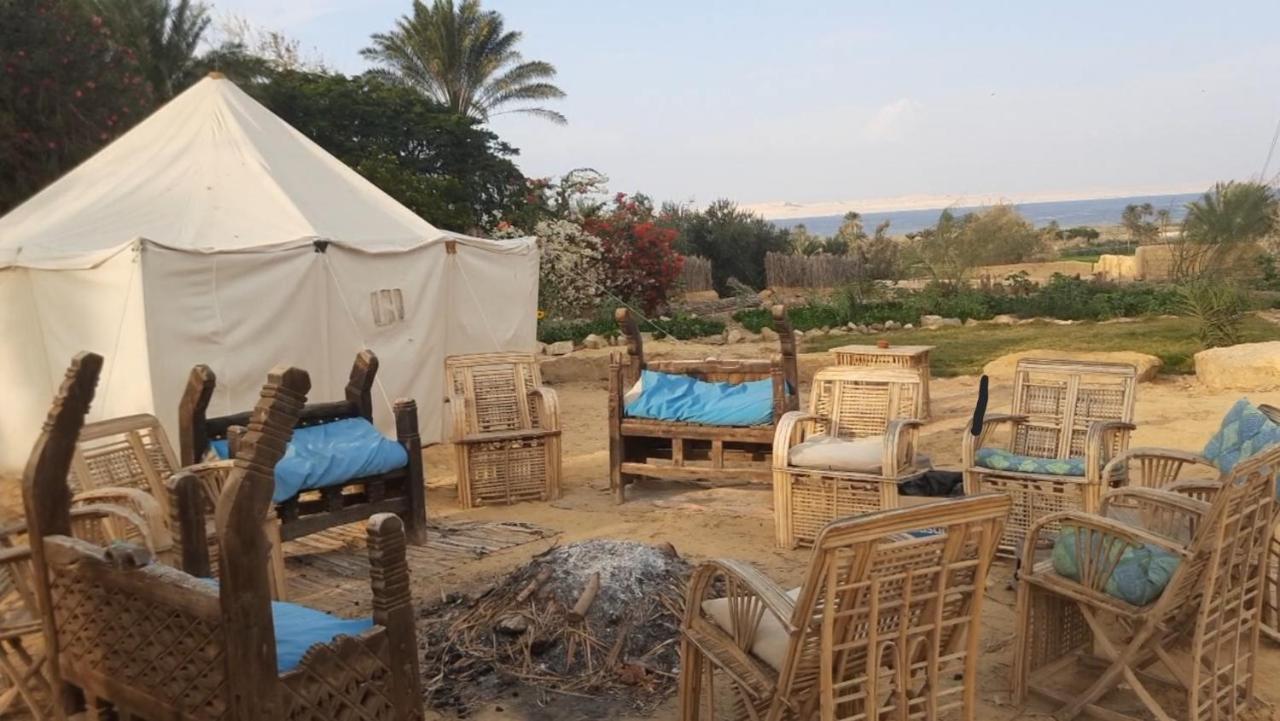 Campsite Tunis Camp Fayoum