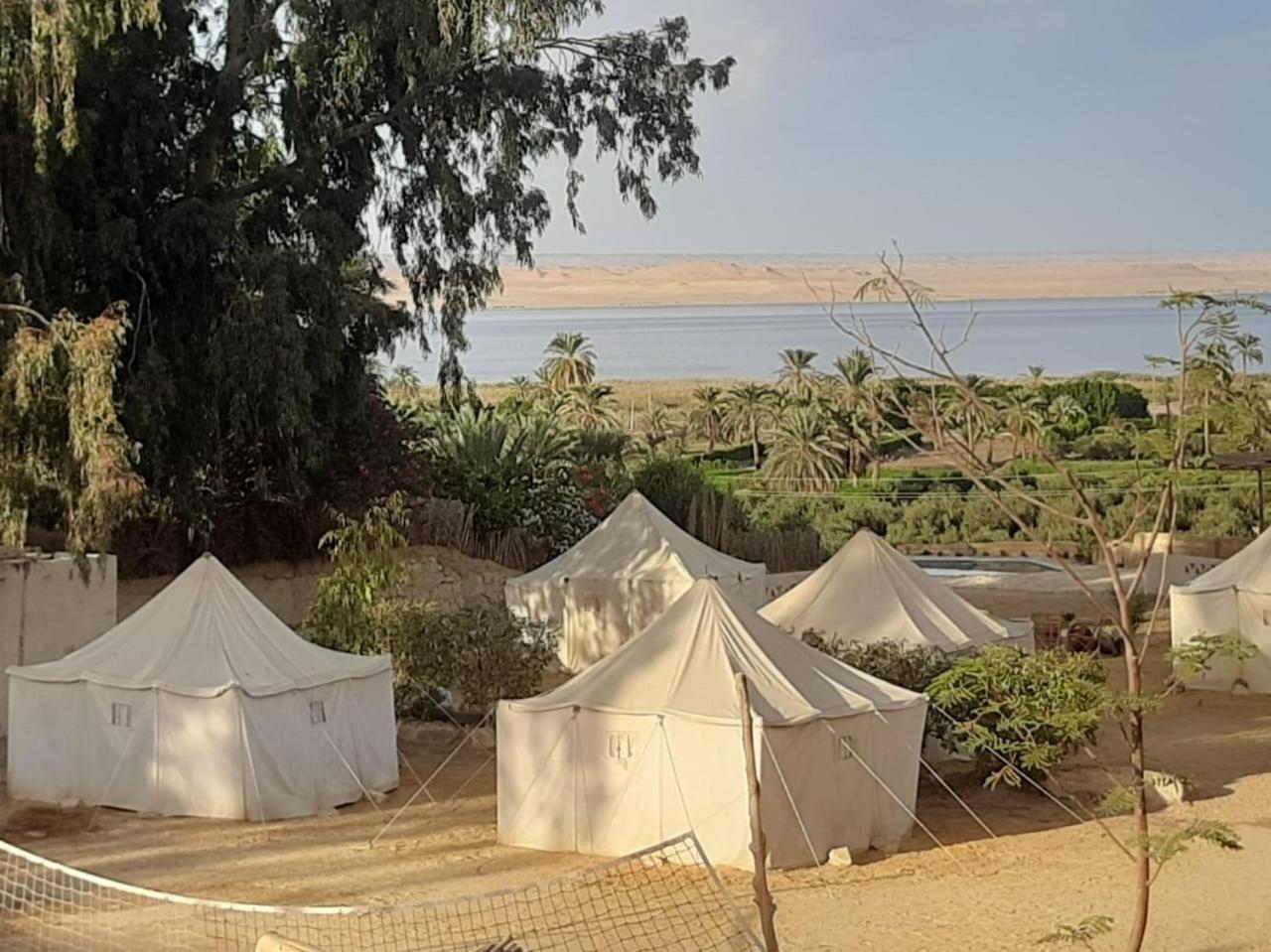 Tunis Camp Campsite Fayoum